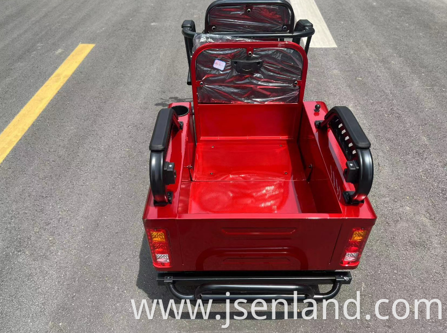 Electric Tricycle with Passenger Seat